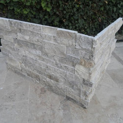 Silver Travertine Panel - Products