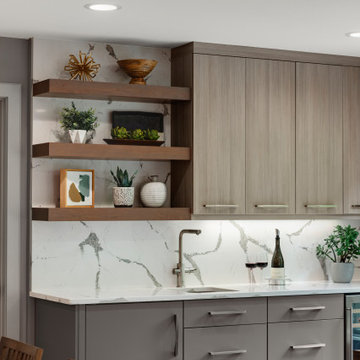 Contemporary Remodel + Addition