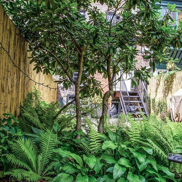 Fort Greene Shade Garden