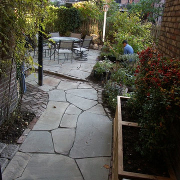 Courtyard patio landscape