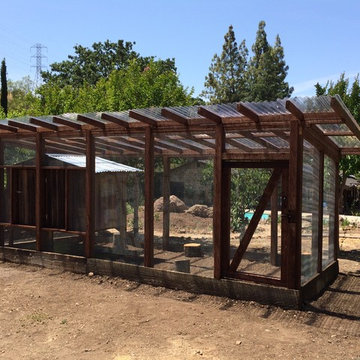 Chicken Coop