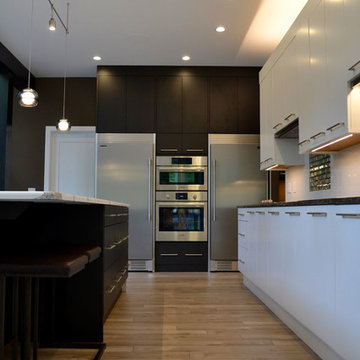Modern Kitchen Delmar NY