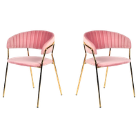 Modrest Brandy Modern Pink Fabric Dining Chair, Set of 2