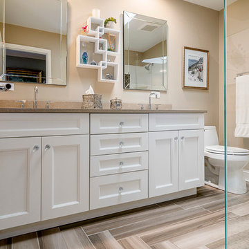 Northbrook Split Level Renovation