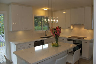 Example of a trendy kitchen design in Ottawa
