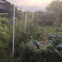 Food Forest