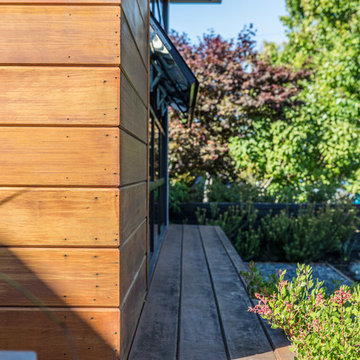 San Mateo Renovation