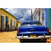 Fredi Arditti's photo