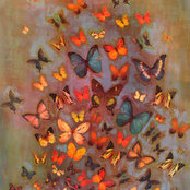 Sonia Parsons's photo