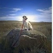 Robin B's photo