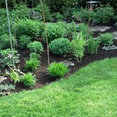 Foto de perfil de KenDel Lawn Services