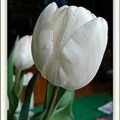 Nan Derby's photo
