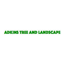 Adkins Tree and Landscape
