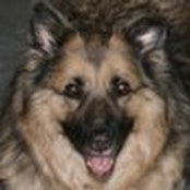 Debbie Pruyn's photo