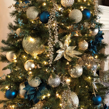 Make-A-Wish-Foundation Holiday Home Tour, Frisco Texas