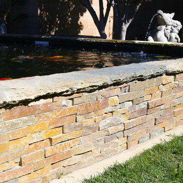 Beach St. Fish Pond