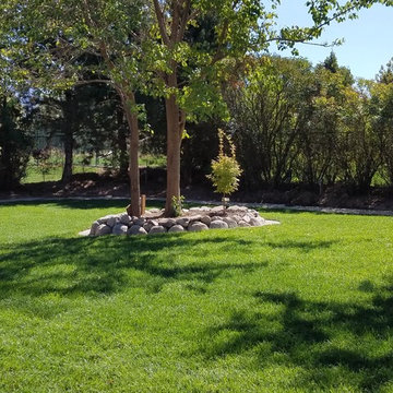 Landscaping Vineyard