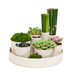 Zen Garden - Home Decor