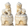 Chinese Pair White Marble Stone Fengshui Foo Dogs Statues Hcs6970