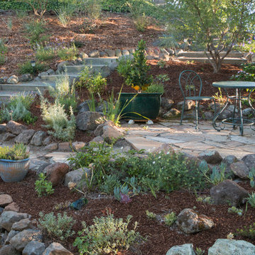 Orinda 5