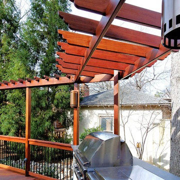 Tree Deck --  Incorporating a Beloved Tree, Making the Most of the Environmen