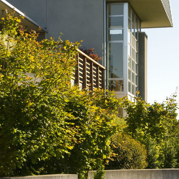 Mid-Century Modern