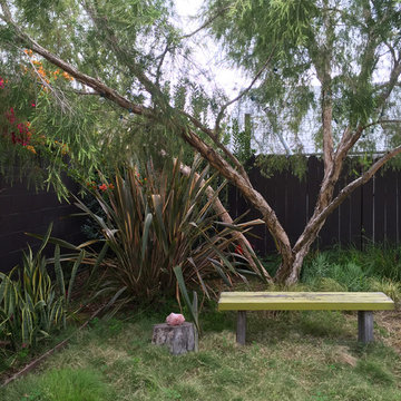 Conscious Stream Scape 2 Year Update - Silverlake