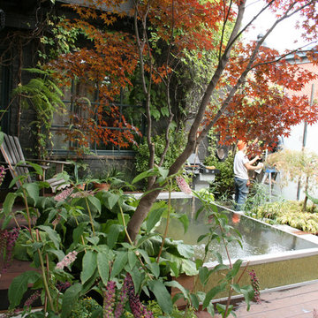 BioNova Natural Swimming Pools - International