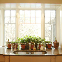 Windows