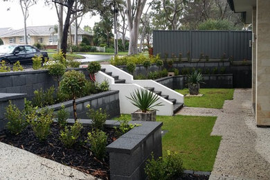 This is an example of a contemporary garden in Adelaide.