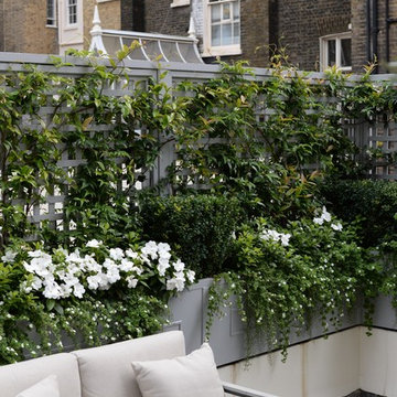 Traditional Trellis - Making Smaller Spaces Work