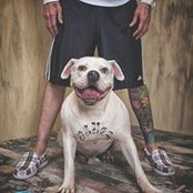 Wally Hayes's photo