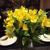 Terri Soderberg's photo
