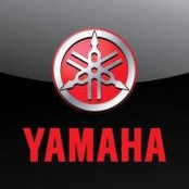Yamaha Itani's photo