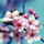 karen_hooper9766846