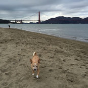 Mario Ruiz's photo