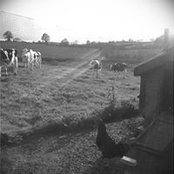 Eimear McCarron's photo