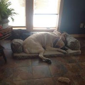 Nora Craft's photo