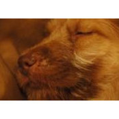 Tim Considine's photo