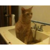 Vanessa McElroy's photo