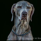 David Warkentin's photo