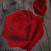 Karen Hakala's photo