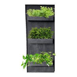 Grown By You - Home Decor