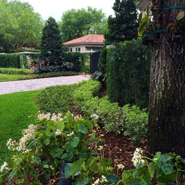 2014 Pinecrest Residence 1 year later