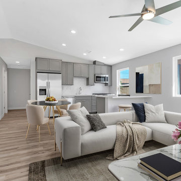 Kitchen / Living Room