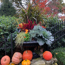 Window box and flower pots
