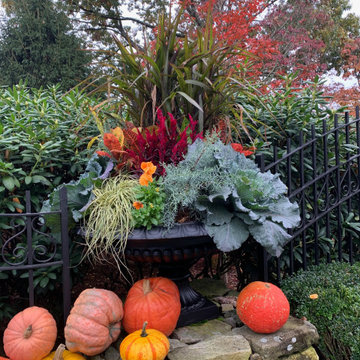 Potted Gardens