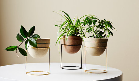 Display Indoor Plants Like a Pro