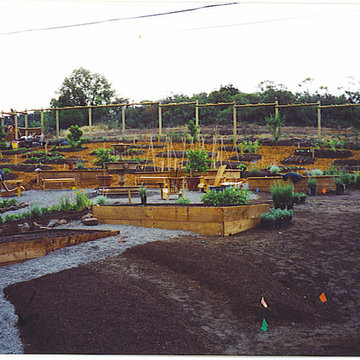 Vegetable gardens