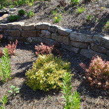Strakes Landscape - plant condition